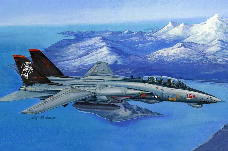 1/48 Hobby Boss F-14D Super Tomcat 80368 1