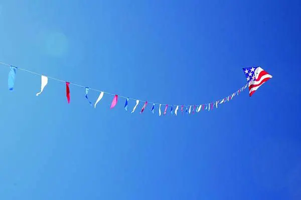 100 Ft. Flag Line - Patriotic 1