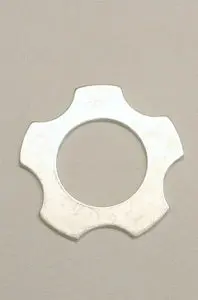 Leopard Thrust Washer 1