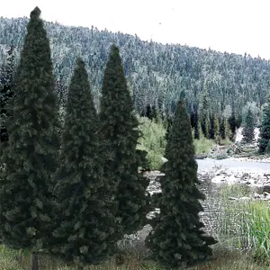 Tr1586 Evergreen 4-6 (13) 1