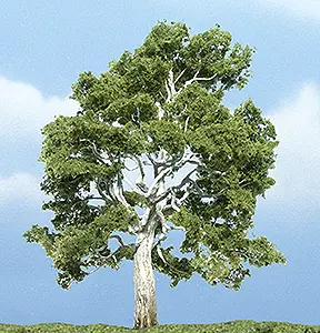 Tr1609 Premium Sycamore Tree 4-1/4 1