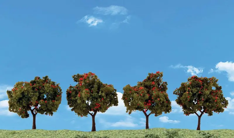 Woodland 2"-3" Apple Tree 3591 1