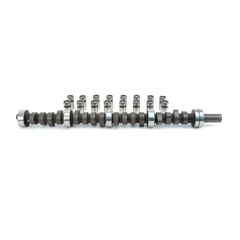 Lunati 30100904Lk Voodoo Solid Flat-Tappet Camshaft For Amc 290–401 V8 Engines 1